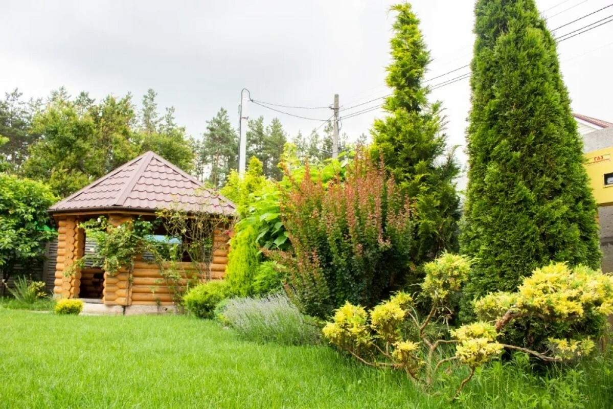 https://novokujbyshevsk.tgv-stroy.ru/storage/app/uploads/public/637/ef4/fb3/637ef4fb3605f391429275.png